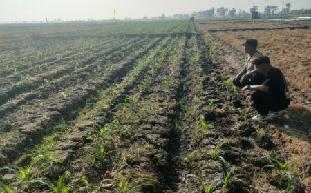 Bhabinkamtibmas Dorong Warga Manfaatkan Lahan Kosong untuk Ketahanan Pangan