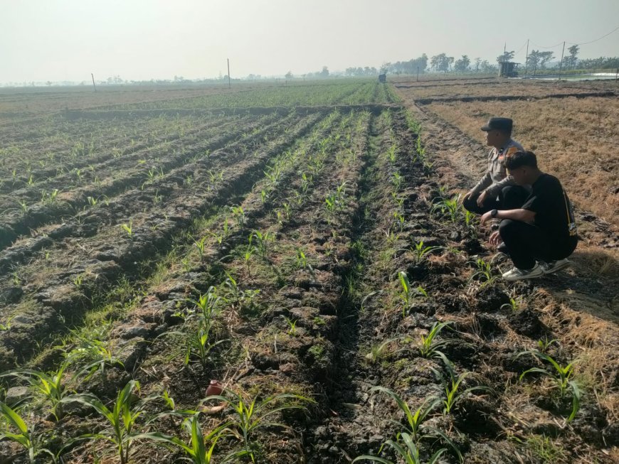 Bhabinkamtibmas Dorong Warga Manfaatkan Lahan Kosong untuk Ketahanan Pangan